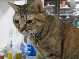 IMG00156.jpg