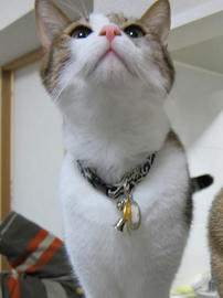IMG00160.jpg