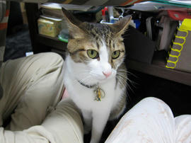 IMG00170.jpg