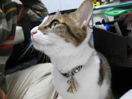 IMG00172.jpg