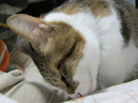 IMG00173.jpg