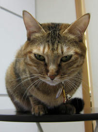 IMG00174.jpg