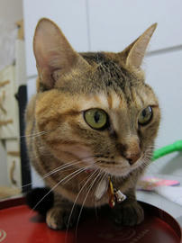 IMG00178.jpg