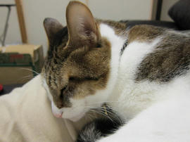 IMG00191.jpg