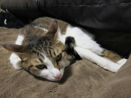 IMG00197.jpg