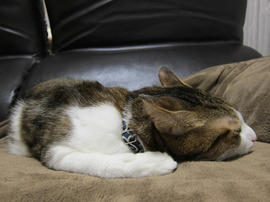 IMG00202.jpg