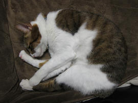 IMG00203.jpg