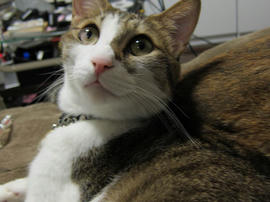 IMG00214.jpg