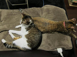 IMG00215.jpg