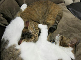 IMG00216.jpg