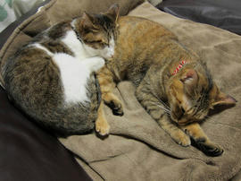 IMG00217.jpg