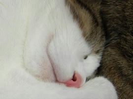 IMG00219.jpg