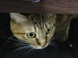 IMG00225.jpg