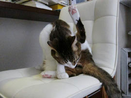 IMG00232.jpg