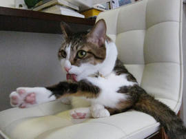 IMG00233.jpg