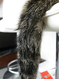 IMG00236.jpg