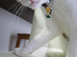 IMG00244.jpg