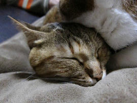 IMG00249.jpg
