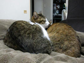 IMG00250.jpg