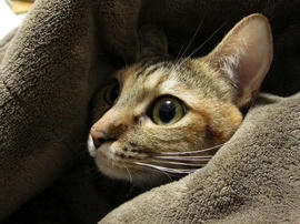 IMG00252.jpg