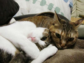 IMG00253.jpg
