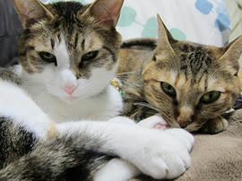 IMG00256.jpg