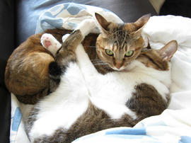 IMG00257.jpg