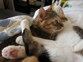 IMG00260.jpg
