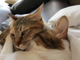 IMG00261.jpg