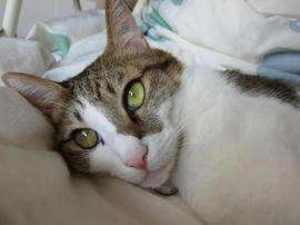 IMG00262.jpg