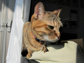 IMG00264.jpg