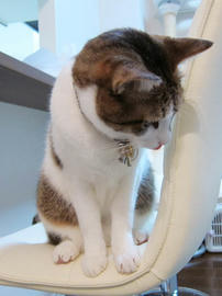 IMG00274.jpg