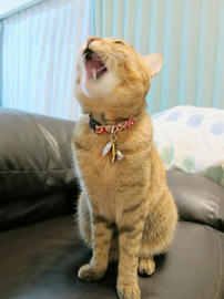 IMG00278.jpg