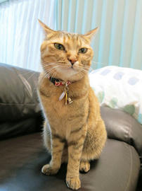 IMG00279.jpg