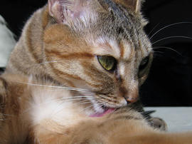 IMG00280.jpg