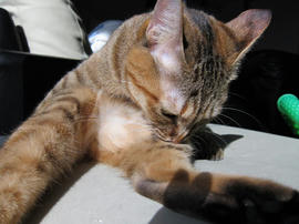 IMG00281.jpg