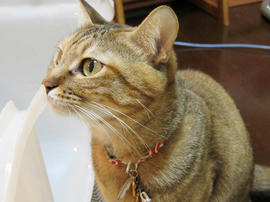 IMG00284.jpg