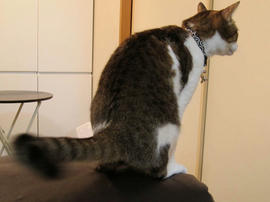 IMG00286.jpg