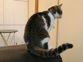 IMG00287.jpg
