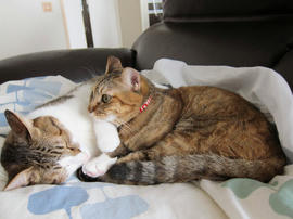 IMG00294.jpg