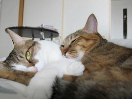 IMG00307.jpg