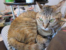 IMG00308.jpg