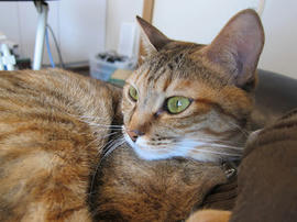 IMG00309.jpg