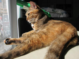IMG00312.jpg