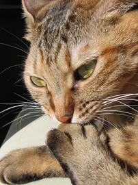 IMG00319.jpg