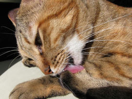IMG00320.jpg