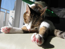 IMG00324.jpg