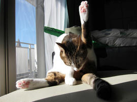 IMG00325.jpg