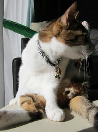 IMG00326.jpg