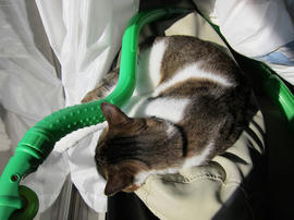 IMG00335.jpg
